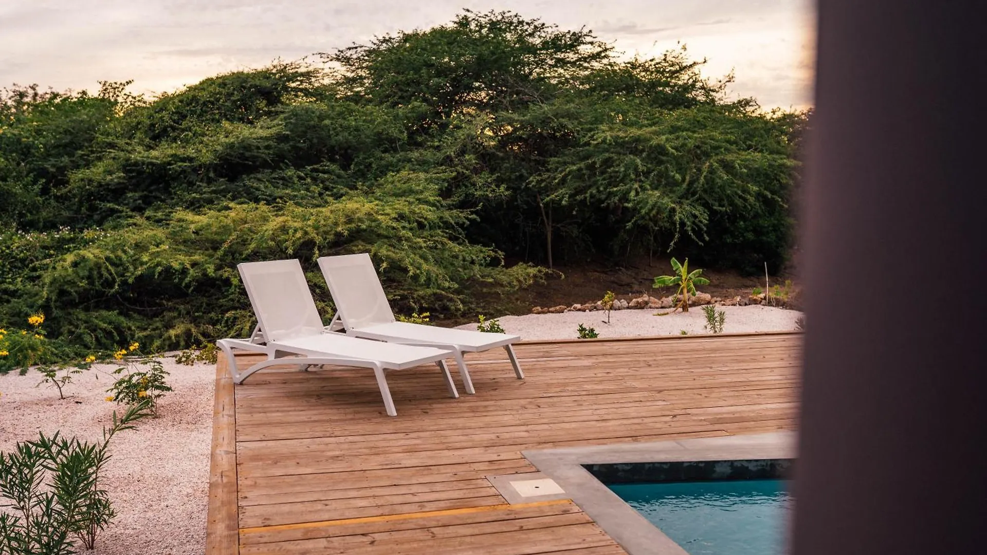 Naturescape Villa Bliss - Dorp Sint Michiel